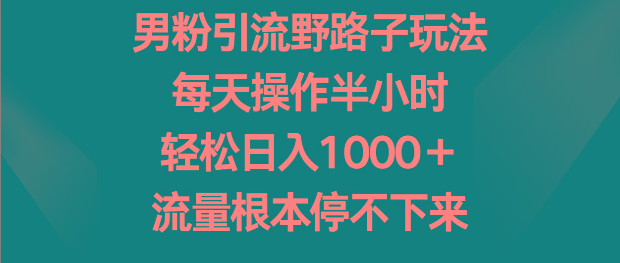 男粉引流野路子玩法，每天操作半小时轻松日入1000＋，流量根本停不下来-点子口袋网