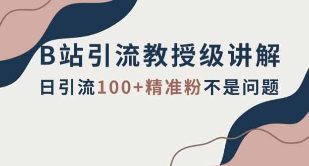 B站引流教授级讲解，细节满满，日引流100+精准粉不是问题【揭秘】-点子口袋网