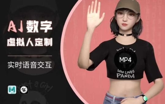 Ai数字人虚拟(智能体)实时语音交互特训营，​自行定制超写实角色AI数字人交互技术-点子口袋网