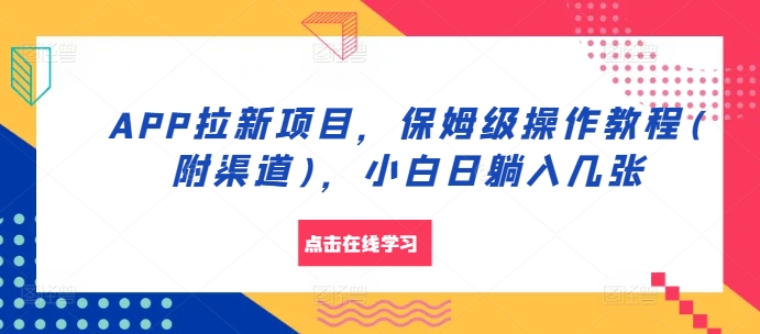 APP拉新项目，保姆级操作教程(附渠道)，小白日躺入几张【揭秘】-点子口袋网