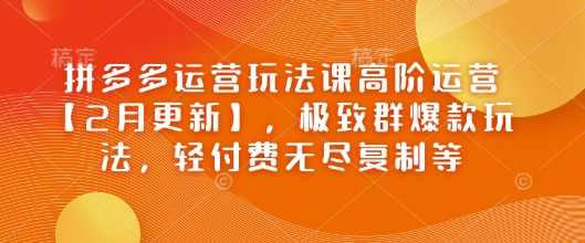 拼多多运营玩法课高阶运营【2月更新】，极致群爆款玩法，轻付费无尽复制等-点子口袋网