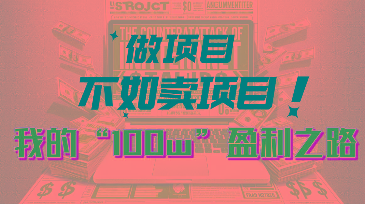 为什么做项目不如卖项目？我的100W+盈利之路-点子口袋网