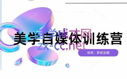 安娜·美学自媒体IP系统课-点子口袋网