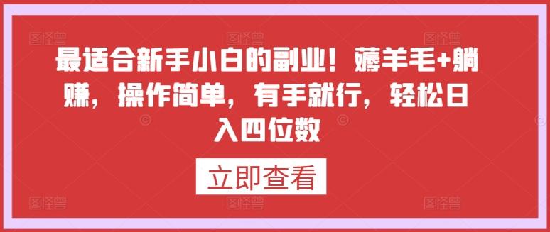最适合新手小白的副业！薅羊毛+躺赚，操作简单，有手就行，轻松日入四位数【揭秘】-点子口袋网