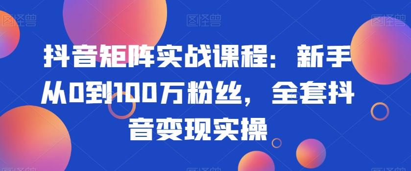 抖音矩阵实战课程：新手从0到100万粉丝，全套抖音变现实操-点子口袋网