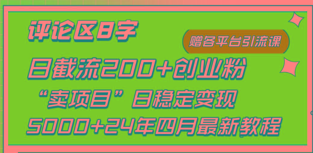 (9851期)评论区8字日载流200+创业粉  日稳定变现5000+24年四月最新教程！-点子口袋网