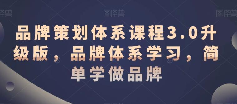 品牌策划体系课程3.0升级版，品牌体系学习，简单学做品牌-点子口袋网