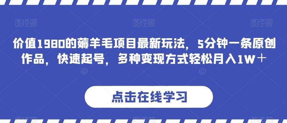 价值1980的薅羊毛项目最新玩法，5分钟一条原创作品，快速起号，多种变现方式轻松月入1W＋【揭秘】-点子口袋网