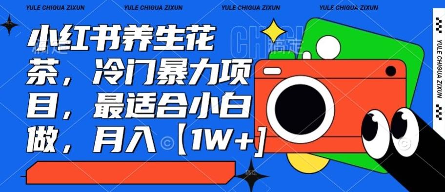 小红书养生花茶，冷门暴力项目，最适合小白做，月入【1W+】-点子口袋网
