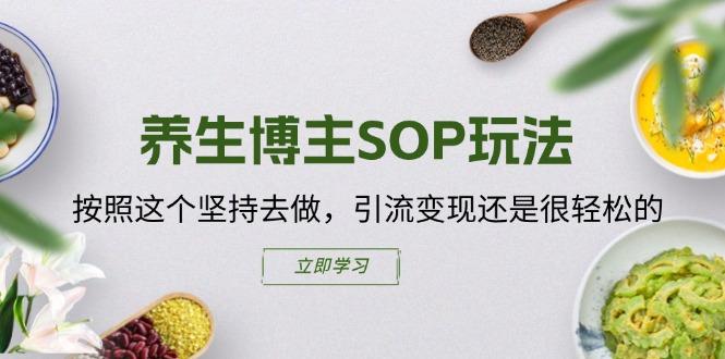 养生博主SOP玩法，按照这个坚持去做，引流变现还是很轻松的-点子口袋网
