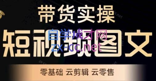 鑫哥·2024零基础短视频带货实操营-点子口袋网