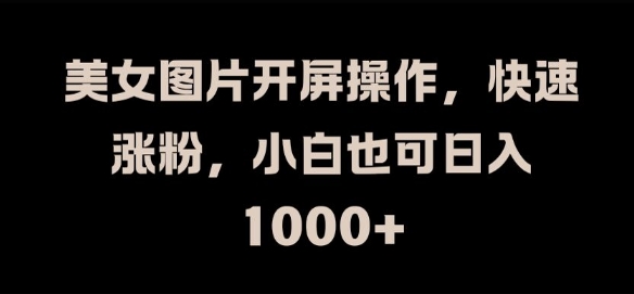 美女图片开屏操作，快速涨粉，小白也可日入1k【揭秘】-点子口袋网