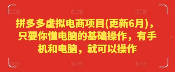 拼多多虚拟电商项目(更新6月)，只要你懂电脑的基础操作，有手机和电脑，就可以操作-点子口袋网