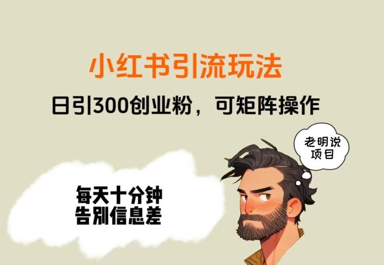 靠小红书视频日印300粉，两分钟一个视频轻松矩阵-点子口袋网