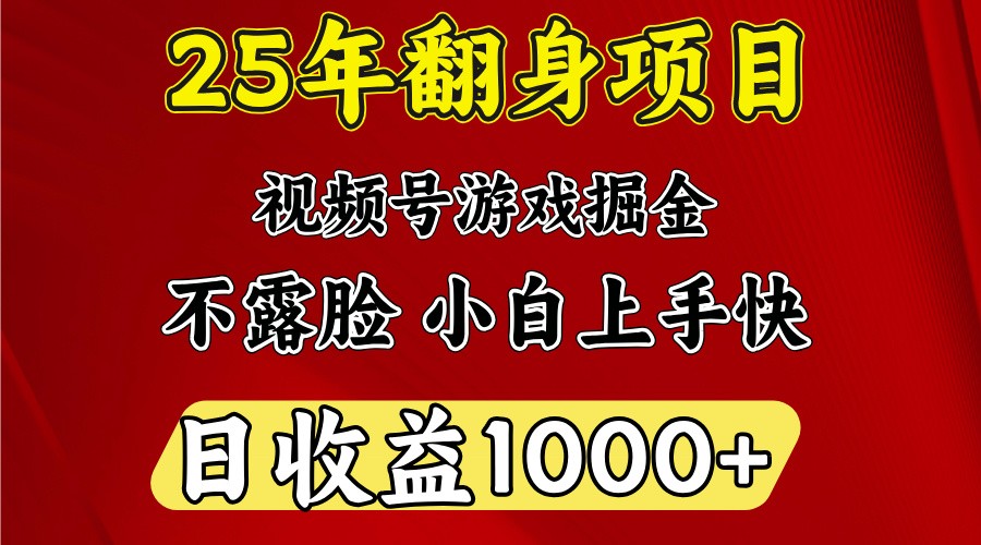 一天收益1000+ 25年开年落地好项目-点子口袋网