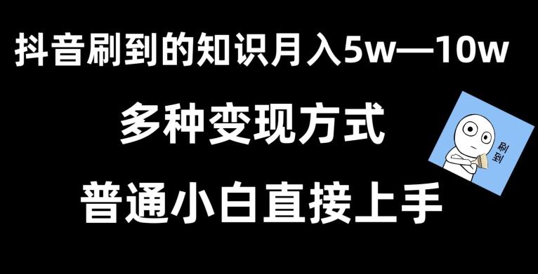 抖音刷到的知识，每天只需2小时，日入2000+，暴力变现，普通小白直接上手【揭秘】-点子口袋网