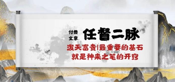 某付费文章《任督 二脉 泼天富贵|最重要的基石 就是神来之笔的开窍|万字》-点子口袋网