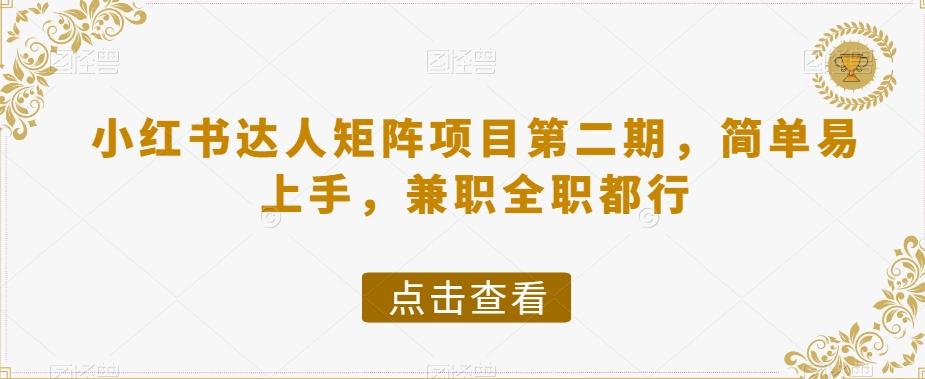 小红书达人矩阵项目第二期，简单易上手，兼职全职都行-点子口袋网