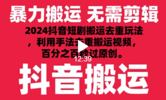 2024最新抖音搬运技术，抖音短剧视频去重，手法搬运，利用工具去重，达到秒过原创的效果【揭秘】-点子口袋网