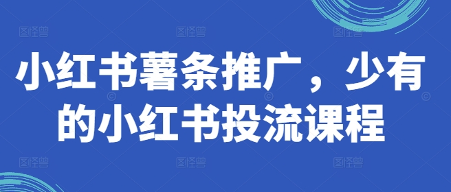 小红书薯条推广，少有的小红书投流课程-点子口袋网