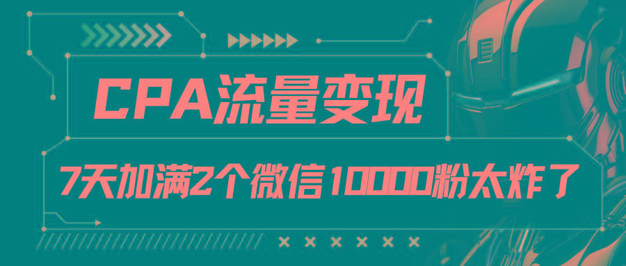 CPA流量变现，7天加满两个微信10000粉-点子口袋网