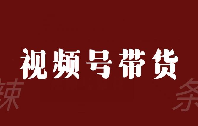 视频号带货联盟，赚信息差的带货钱，只需手机随时随地都可以做！-点子口袋网