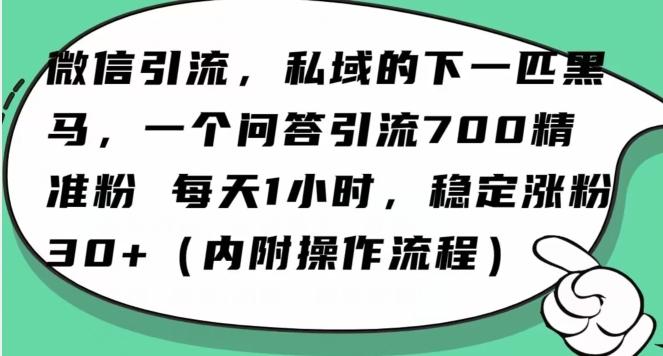 怎么搞精准创业粉？微信新赛道，每天一小时，利用Ai一个问答日引100精准粉-点子口袋网