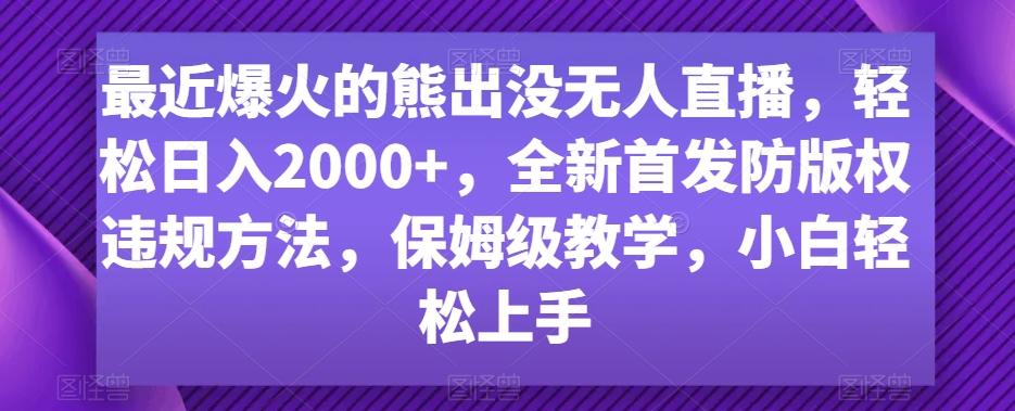 最近爆火的熊出没无人直播，轻松日入2000+，全新首发防版权违规方法【揭秘】-点子口袋网