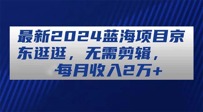 最新2024蓝海项目京东逛逛，无需剪辑，每月收入2万+-点子口袋网
