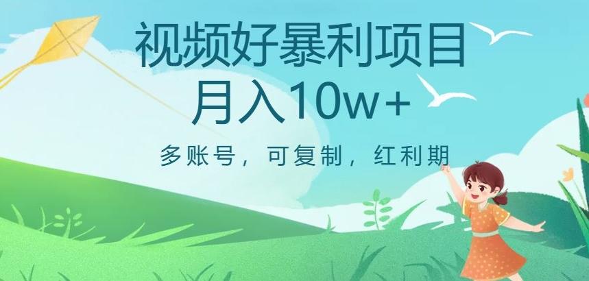 视频号暴利项目，多账号，可复制，红利期，月入10w+【揭秘】-点子口袋网