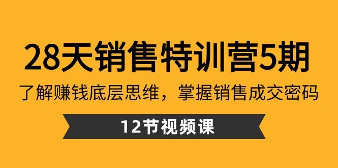 28天销售特训营5期：了解赚钱底层思维，掌握销售成交密码（12节课）-点子口袋网