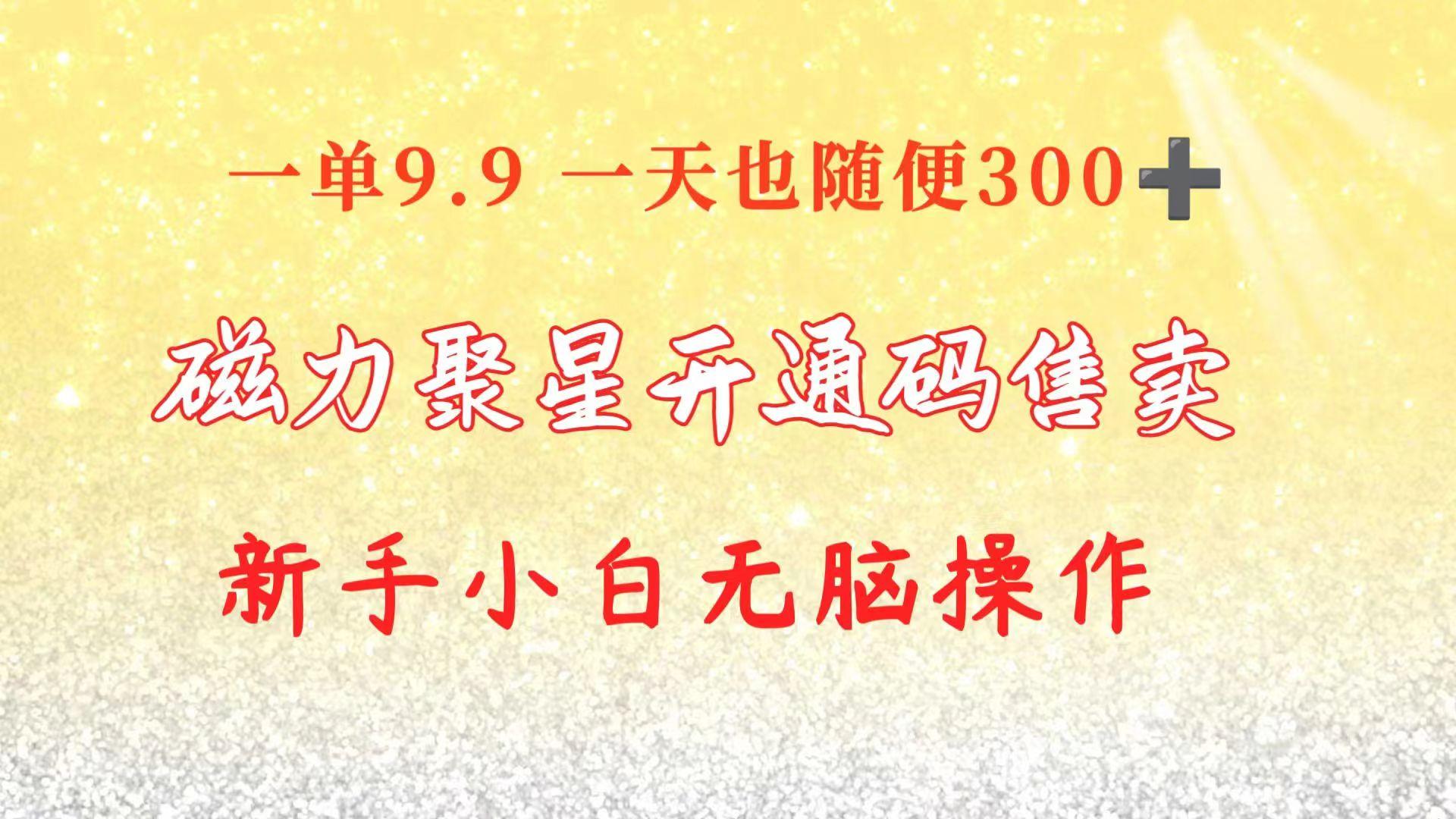 快手磁力聚星码信息差 售卖  一单卖9.9  一天也轻松300+ 新手小白无脑操作-点子口袋网