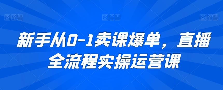 新手从0-1卖课爆单，直播全流程实操运营课-点子口袋网