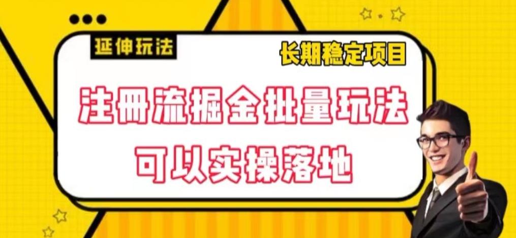 注册流掘金批量玩法，可以实操落地【揭秘】-点子口袋网