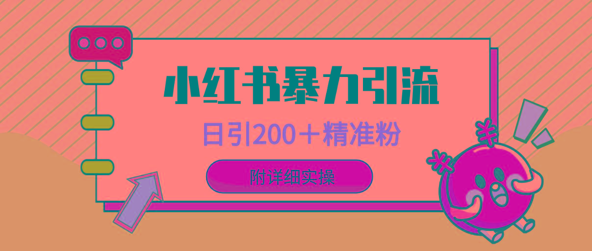 (9582期)小红书暴力引流大法，日引200＋精准粉，一键触达上万人，附详细实操-点子口袋网