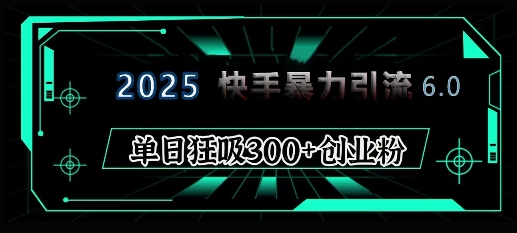 2025年快手6.0保姆级教程震撼来袭，单日狂吸300+精准创业粉-点子口袋网