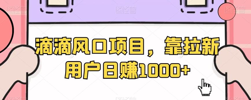 滴滴风口项目，靠拉新用户日赚1000+-点子口袋网