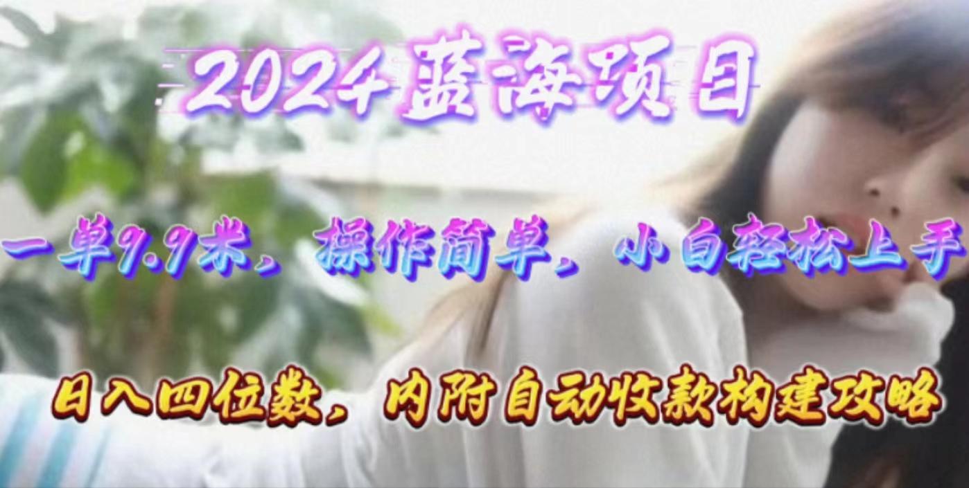 年轻群体的蓝海市场，1单9.9元，操作简单，小白轻松上手，日入四位数-点子口袋网