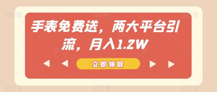 手表免费送，两大平台引流，月入1.2W【揭秘】-点子口袋网