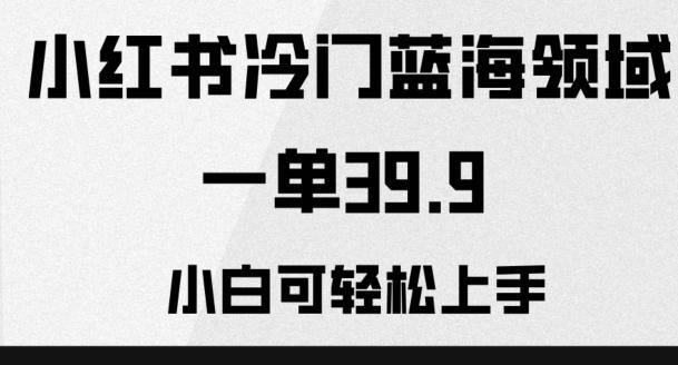 小红书冷门蓝海领域，一单39.9，小白可轻松上手-点子口袋网