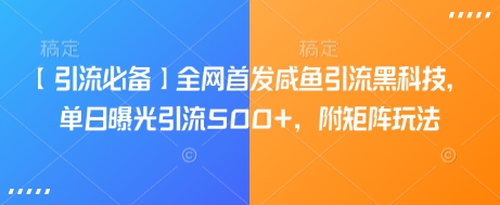 【引流必备】全网首发咸鱼引流黑科技，单日曝光引流500+，附矩阵玩法【揭秘】-点子口袋网
