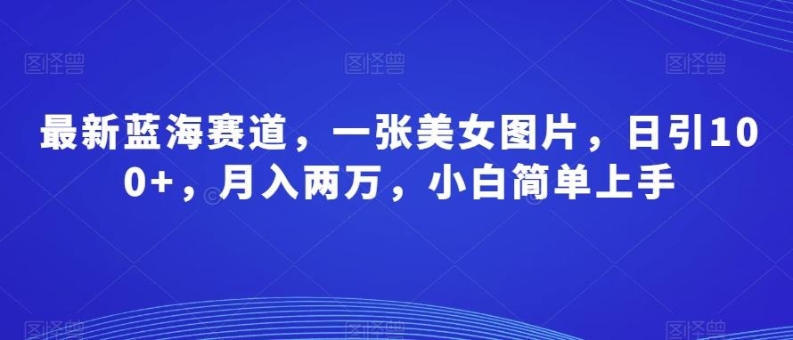 最新蓝海赛道，一张美女图片，日引100+，月入两万，小白简单上手-点子口袋网
