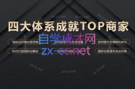 华曜·阿里巴巴国际站认知及直通车实操课程-点子口袋网