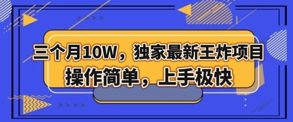 三个月10W，独家最新王炸项目！操作简单，上手极快【揭秘】-点子口袋网