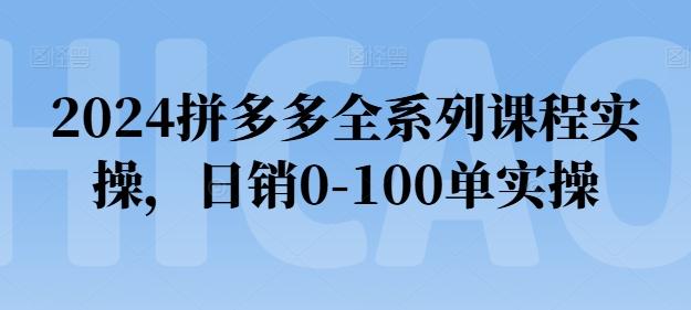 2024拼多多全系列课程实操，日销0-100单实操【必看】-点子口袋网