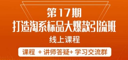 南掌柜-第17期打造淘系标品大爆款，5天线上课-点子口袋网