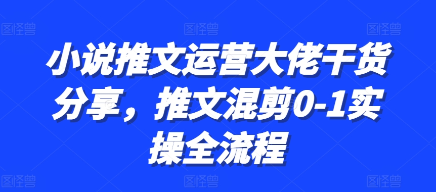小说推文运营大佬干货分享，推文混剪0-1实操全流程-点子口袋网