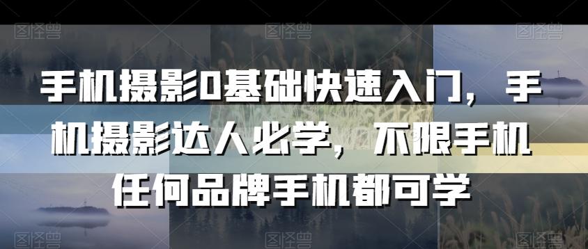 手机摄影0基础快速入门，手机摄影达人必学，不限手机任何品牌手机都可学-点子口袋网