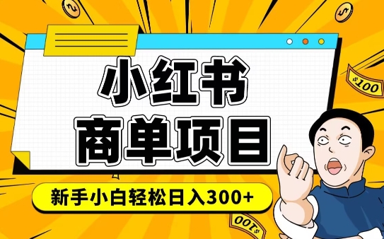 小红书千粉商单，稳定快速变现项目，实现月入6-8k并不是很难-点子口袋网