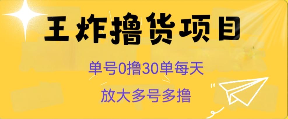 王炸撸货项目，单号0撸30单每天，多号多撸【揭秘】-点子口袋网